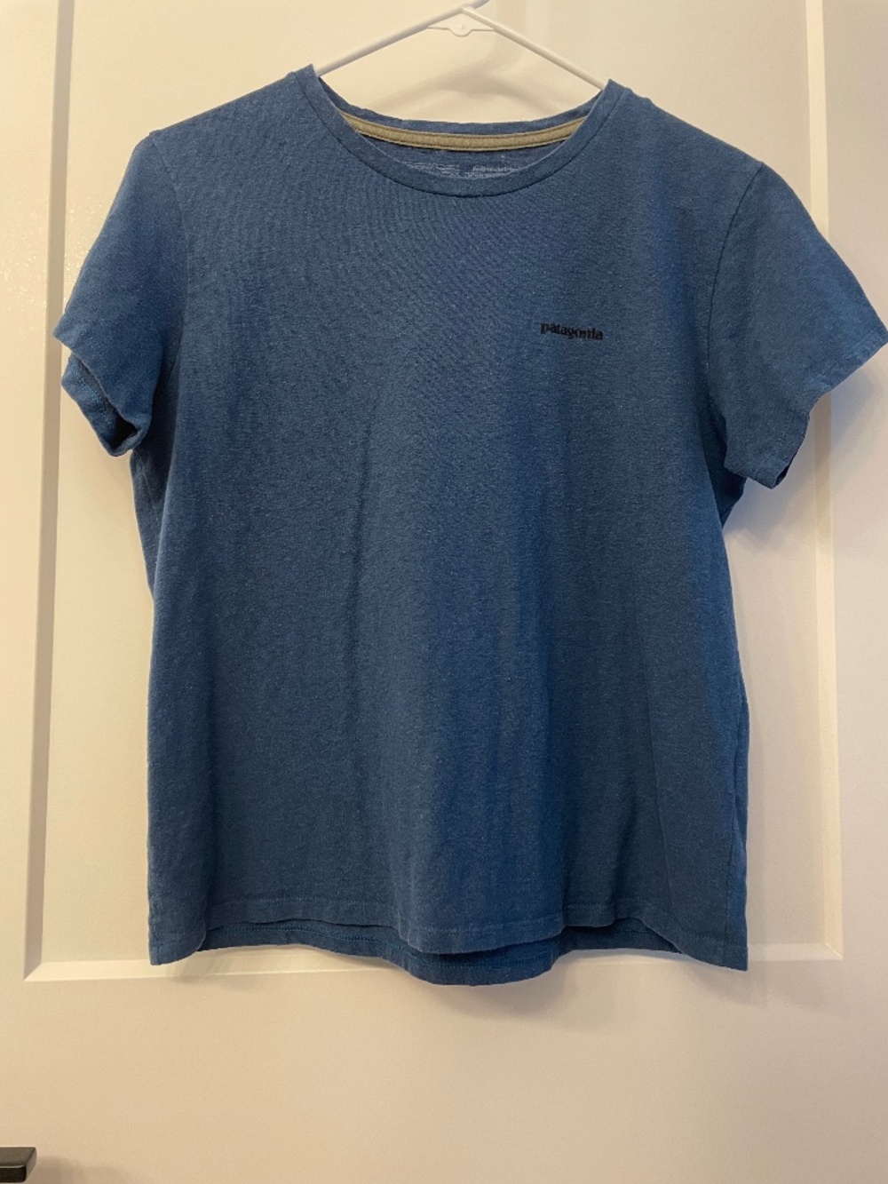 Patagonia T Shirt